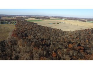 Property photo 7 - OHIO LAND AUCTION - 154+/- ACRES IN RICHLAND COUNTY